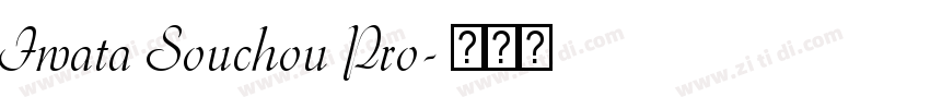 Iwata Souchou Pro字体转换